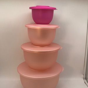 Tupperware Murano Bowl Set of 4